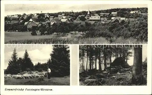 Fussingen  / Waldbrunn (Westerwald) /Limburg-Weilburg LKR