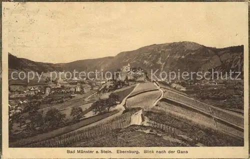 Bad Muenster Stein Ebernburg Ebernburg Blick nach der Gans / Bad Muenster am Stein-Ebernburg /Bad Kreuznach LKR