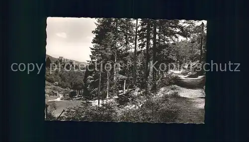 Hornberg Schwarzwald Waldweg Blick zum Schloss Kat. Hornberg