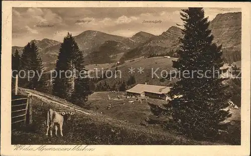 Oberstaufen Steibis Lanzenbach Almen Nagelfluhkette  Kat. Oberstaufen