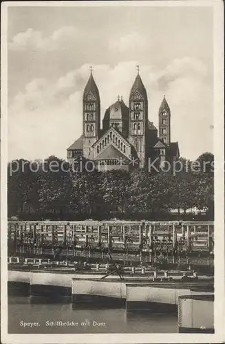 Speyer Rhein Schiffbruecke Dom Kat. Speyer