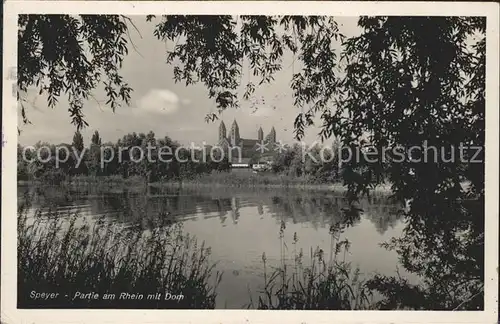 Speyer Rhein Partie am Rhein Dom Kat. Speyer