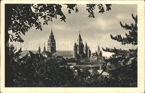 Mainz Rhein Dom vom Stadtgarten gesehen / Mainz Rhein /Mainz Stadtkreis