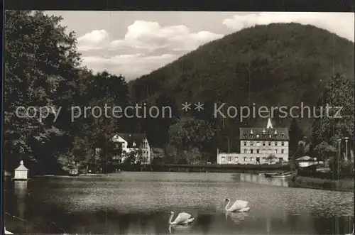 Bad Bergzabern Gondelteich Schwan Kneippheilbad heilklimatischer Kurort Kat. Bad Bergzabern