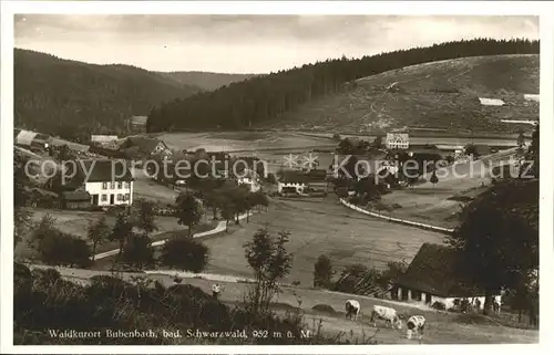 Bubenbach  Kat. Eisenbach (Hochschwarzwald)