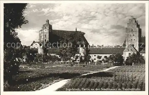 Ingolstadt Donau Partie an der Stadtmauer mit Taschenturm Liebfrauenkirche Kat. Ingolstadt