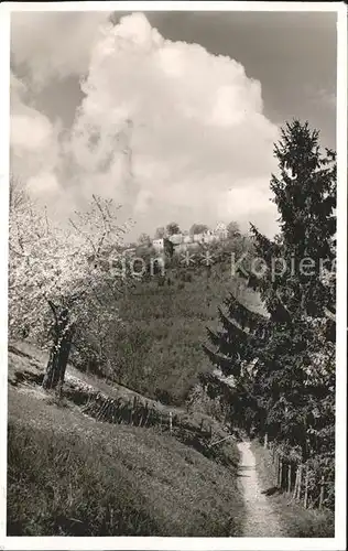 Bad Urach Blick auf Burg Hohenurach Wanderweg Baumbluete Kat. Bad Urach