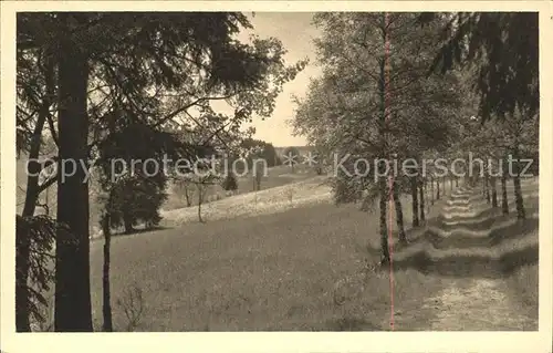 Koenigsfeld Schwarzwald Am Rundweg Luftkurort Kupfertiefdruck Kat. Koenigsfeld im Schwarzwald