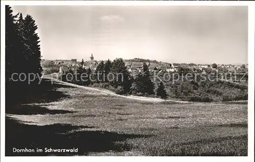 Dornhan Panorama Luftkurort Schwarzwald Kat. Dornhan