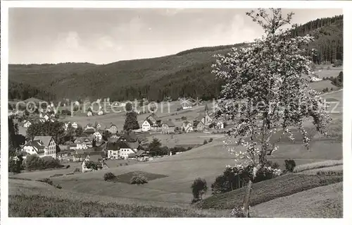 Obertal Baiersbronn Panorama Sommer und Wintersportplatz Schwarzwald Kat. Baiersbronn