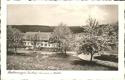 Hallwangen Gasthof Pension zur Muehle Baumbluete Luftkurort Buetten Kat. Dornstetten