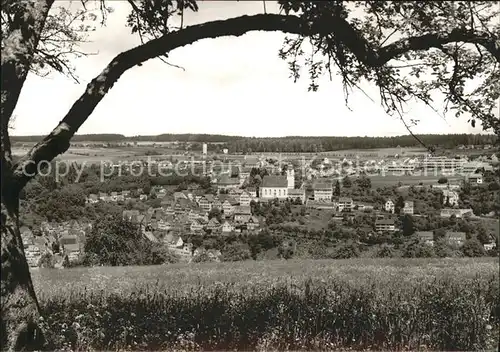 Altensteig Schwarzwald Panorama Luftkurort Schwarzwald / Altensteig /Calw LKR