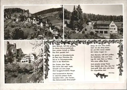 Berneck Altensteig Panorama mit Burg Gasthof Pension Linde Gedicht Luftkurort Schwarzwald Bromsilber Kat. Altensteig