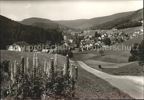 Buhlbach Obertal Panorama Sommer und Wintersportplatz Schwarzwald Blumen / Baiersbronn /Freudenstadt LKR