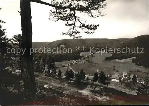 Erzgrube Panroama Luftkurort Schwarzwald Kat. Seewald