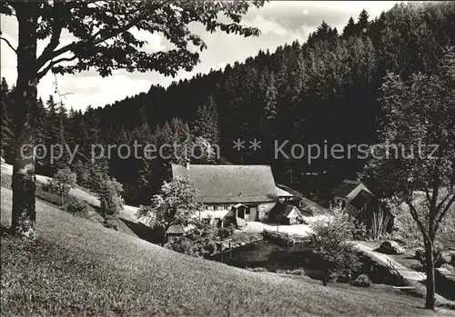 Besenfeld Freizeitheim Erholungsheim Schwarzwaldmuehle Hoehenluftkurort Wintersportplatz Schwarzwald Kat. Seewald