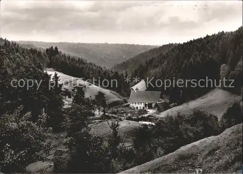 Besenfeld Gasthof zum Loewen Hoehenluftkurort Wintersportplatz Schwarzwald Kat. Seewald