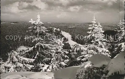 Ruhestein Hotel Kurhaus Wald im Schnee Kat. Baiersbronn