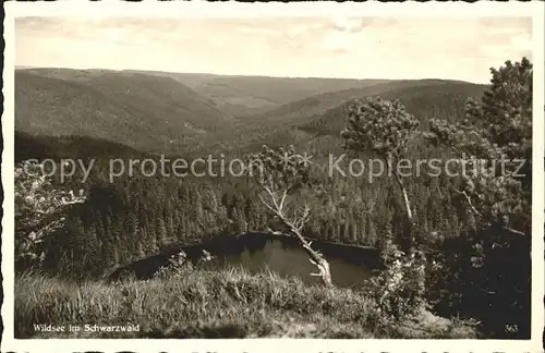 Ruhestein Der Wildsee Kat. Baiersbronn