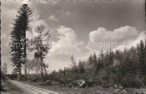 Kaelberbronn Wald Gasthaus Pension zum Schwanen Kat. Pfalzgrafenweiler