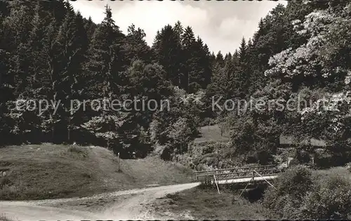 Wildberg Schwarzwald Haus Saron Waldpartie / Wildberg /Calw LKR