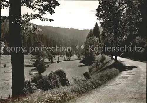 Altensteig Schwarzwald Nagoldtal / Altensteig /Calw LKR