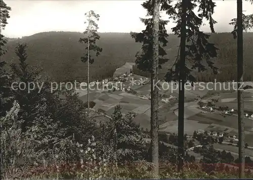 Baiersbronn Schwarzwald Gasthaus Pension zum Loewen Kat. Baiersbronn