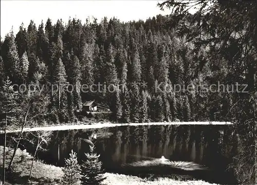 Schoenmuenzach Schurmsee Kat. Baiersbronn