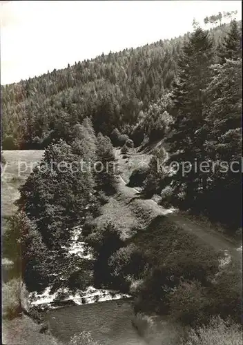 Dobel Schwarzwald Eyachtal Kat. Dobel