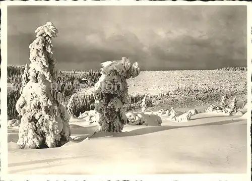 Ruhestein Blick Ehrenmal Inf. Regt. 126 zur Darmstaetter Huette Kat. Baiersbronn