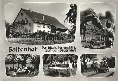 Donaueschingen Baltenhof Immenhoefe Ponys Kutschwagen Kat. Donaueschingen