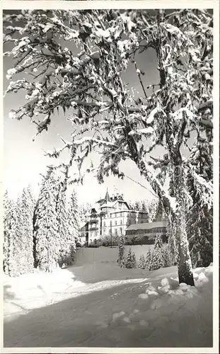 Notschrei Waldhotel  Kat. Todtnau