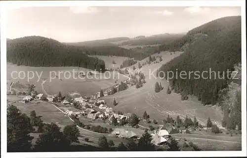 Muggenbrunn Gasthof Gruener Baum Ortsansicht Kat. Todtnau