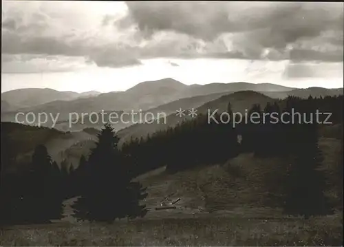 Geschwend Todtnau Berggasthof Pension Gisiboden Kat. Todtnau