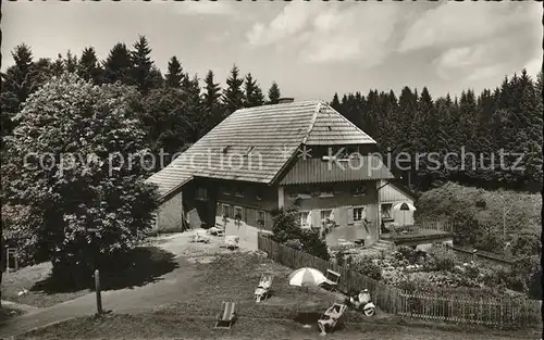 Hinterzarten Haus Schwoerer im Wiesengrund Kat. Hinterzarten