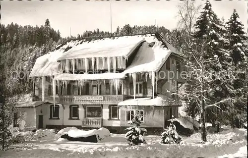 Hinterzarten Pension Waldheim im Schnee Kat. Hinterzarten