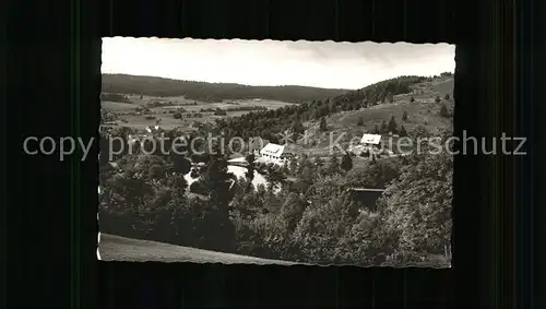 Wittenschwand Klosterweiherhof mit Haus Alpenblick Kat. Dachsberg