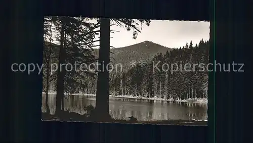 Arbersee Arbergipfel Kat. Bayerisch Eisenstein