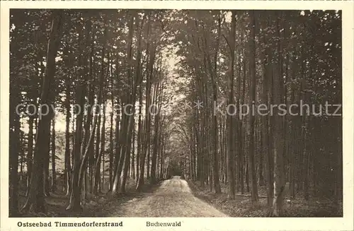 Timmendorfer Strand Buchenwald / Timmendorfer Strand /Ostholstein LKR