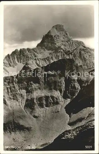 Hochvogel Gipfel Kat. Bad Hindelang