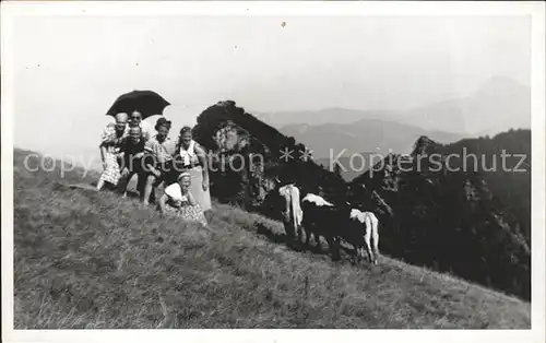 Bergen Chiemgau Kuehe Gesamtfoto / Bergen /Traunstein LKR