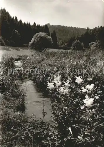 Luetzenhardt Waldchtal Kat. Waldachtal