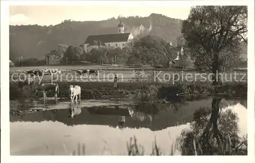 Beuron Donautal Abteikirche Kuehe / Beuron /Sigmaringen LKR