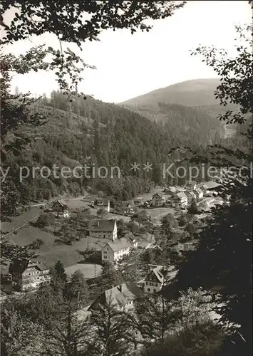 Schoenmuenzach Murgtal Kat. Baiersbronn