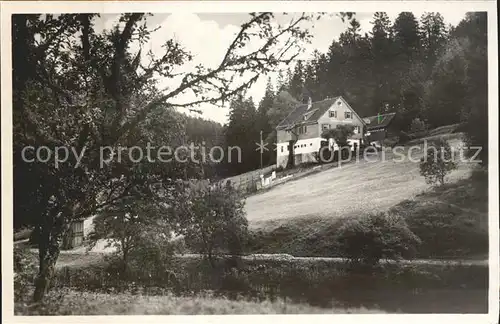 Hinterlangenbach Baiersbronn Gasthaus Pension Auerhahn Kat. Baiersbronn