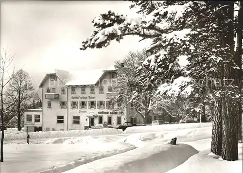 Hallwangen Gasthof gruener Baum Kat. Dornstetten