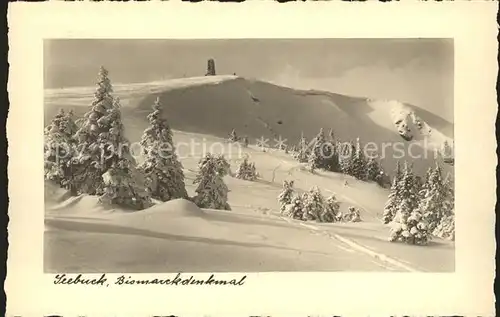 Feldberg Schwarzwald Seebuck Bismarckdenkmal Kat. Feldberg (Schwarzwald)