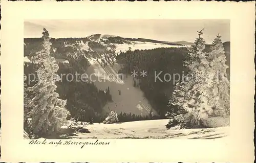 Feldberg Schwarzwald Blick auf Herzogenhorn Kat. Feldberg (Schwarzwald)