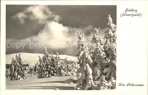 Feldberg Schwarzwald Partie am Stuebenwasen Kat. Feldberg (Schwarzwald)