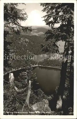 Feldberg Schwarzwald Feldsee Kat. Feldberg (Schwarzwald)